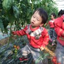 현정농장 이미지