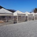 온별천지 이미지