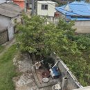 계남2리 이미지