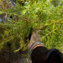 숙이농장 이미지