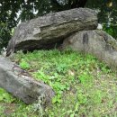 대곡동지석묘군 이미지