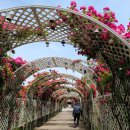 경기재가 노인복지 주식회사 이미지