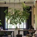 카페서천담 이미지