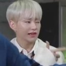 비유네일