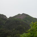 개치골 Daum카페