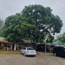 한터농장가든 이미지