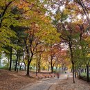 하남시청 근린1호공원 (옥외1) | 인천 부평 근린공원 장미 구경하며 방촌공원에서 가볍게 산책