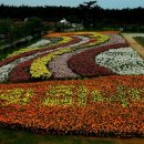 태안반도영농조합법인 이미지