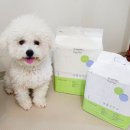 볼보공작소 이미지