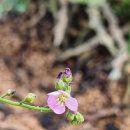 금창초등학교 이미지