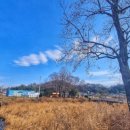 도암보건지소 이미지