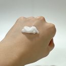 세타 | 손상모 헤어에센스 올리오세타 올인원크림 내돈내산 후기｜노워시 트리트먼트