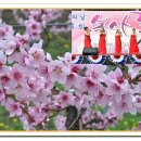 이순희농장 이미지