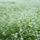 그림그리다 이미지