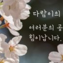 내담대구뽈탕찜 이미지