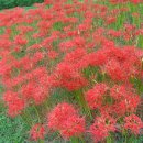 해남공원 이미지