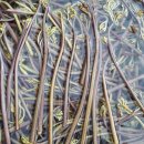 제주도 고비 이미지