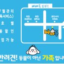 빠빠독 네이버블로그