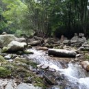 고선농장 이미지