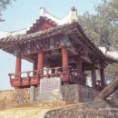 망 미 정 이미지