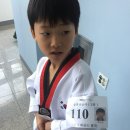 예산태권도체육관 이미지