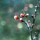 백제여인숙 이미지