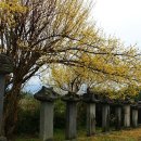 의사김응삼순절비 이미지