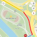 영롱이갈대야구장 옆 제방 | [테린이 테니스] 서울 영등포 테니스장(안양천 영롱이 갈대구장 위치) 이용 후기