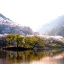 [아름다운 노년(老年)이 되기 위한 자세] 이미지