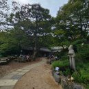 #[강화군 여행] 오소부코처럼 식욕과 감성을 자극하는 건축의 백미 천년고찰 전등사/죽림다원(후편) ...........20 이미지