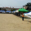 오목초교 이미지