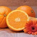 드림핏 휘트니스 이미지