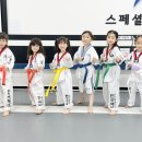 국가대표 퍼스트 태권도 이미지