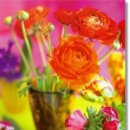 가든플라워 이미지