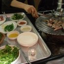 주남오리알 이미지