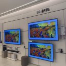 엘지베스트샵 건너편 이미지