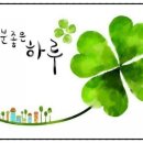 10년타기정비센타 이미지