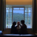 스테이 만천 | [애견동반숙소] 대구 근교, 경북 의성 스테이 만천🌳🐶💛🏠