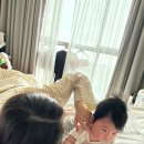 모가농협 앞 | 🏝️: 100일 아기와 제주도 2탄 | 물개쀼 재재재등장 | 협재해변, 테라로사, 제주신라호텔, 보름숲 흑돼지...