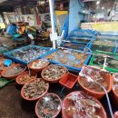 진우수산 이미지