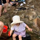 (주)키노케어 | 육아 일기 #29 :: 29개월 (25년 8월)