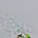 난초익스프레스 네이버블로그