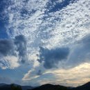 KFC포항양덕DT점 이미지