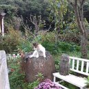 퇴촌 해피하우스 이미지