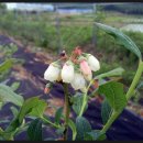 세윤농장 이미지