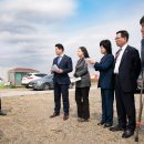 그린시티 이미지