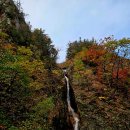 167차 정기산행 26년 10월 18(일) 설악산 흘림골(단풍산행) 이미지