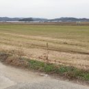 본량공인중개사 이미지