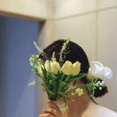 루미로사 이미지