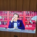 [우연히 웨스 앤더슨 2] 전시회 후기, 추천, 꿀팁